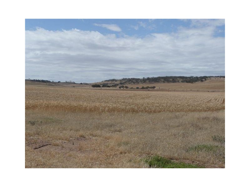 Lot 3 Curilla Estate, Tumby Bay SA 5605