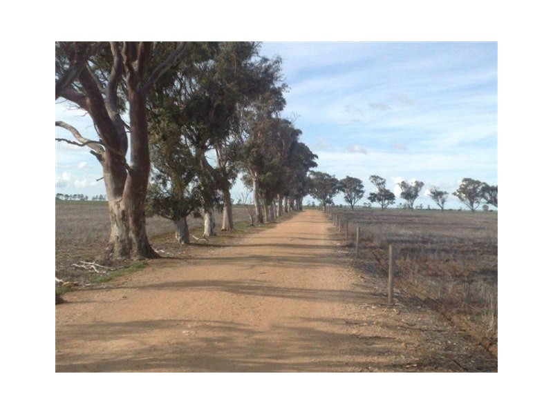 Section 25 Hundred of Cummins, Cummins SA 5631