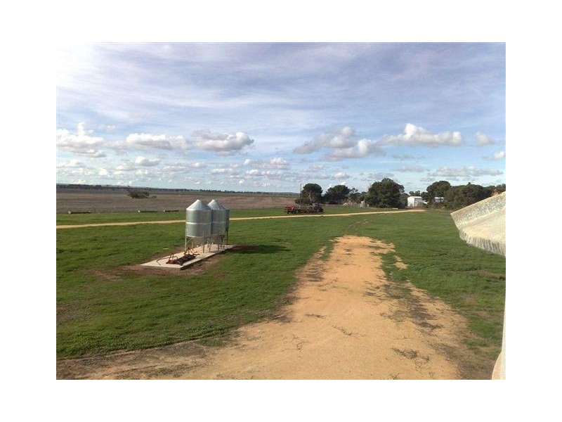 Section 25 Hundred of Cummins, Cummins SA 5631