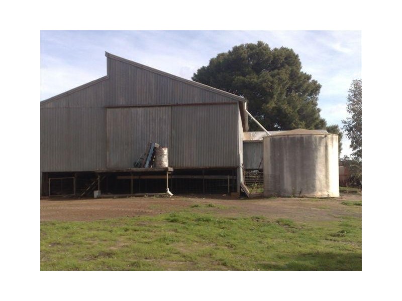 Section 25 Hundred of Cummins, Cummins SA 5631