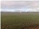 Section 77 Hundred of Mitchell, Kapinnie SA 5632