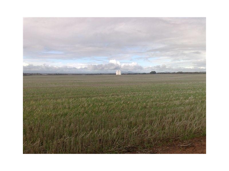 Section 77 Hundred of Mitchell, Kapinnie SA 5632