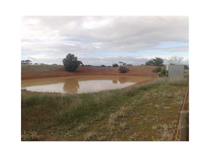Section 77 Hundred of Mitchell, Kapinnie SA 5632