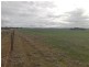 Section 77 Hundred of Mitchell, Kapinnie SA 5632