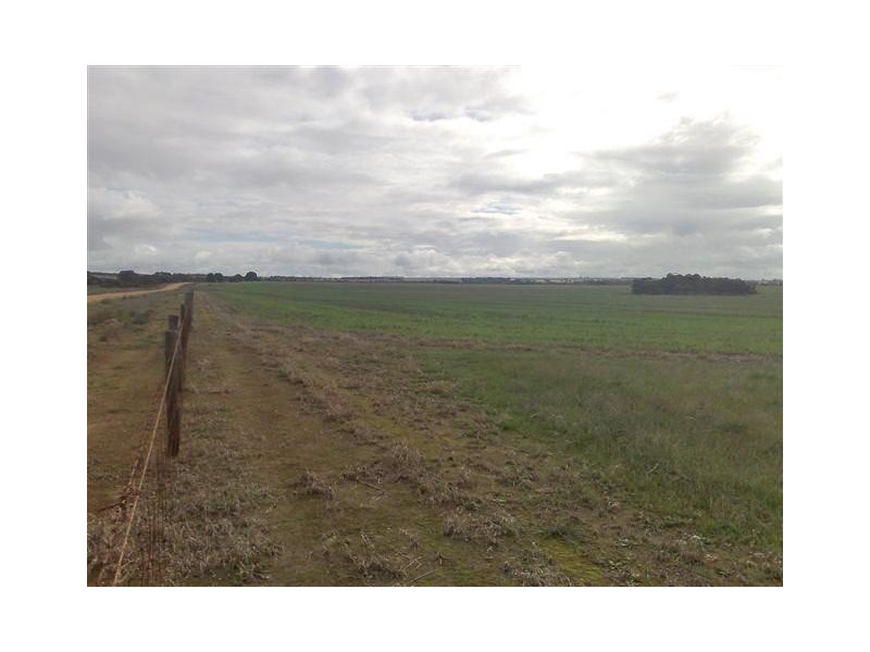 Section 77 Hundred of Mitchell, Kapinnie SA 5632