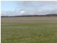 Section 77 Hundred of Mitchell, Kapinnie SA 5632