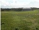 Section 175 Taylors Road, Wangary SA 5607
