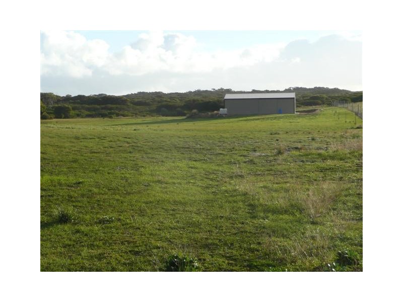 Section 175 Taylors Road, Wangary SA 5607