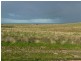 Section 175 Taylors Road, Wangary SA 5607