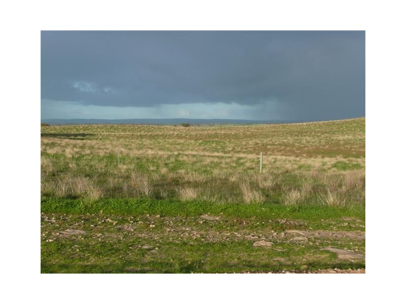 Section 175 Taylors Road, Wangary SA 5607