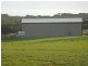 Section 175 Taylors Road, Wangary SA 5607