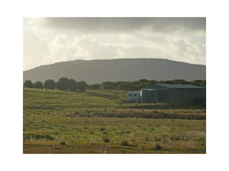 Section 175 Taylors Road, Wangary SA 5607