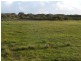 Section 175 Taylors Road, Wangary SA 5607