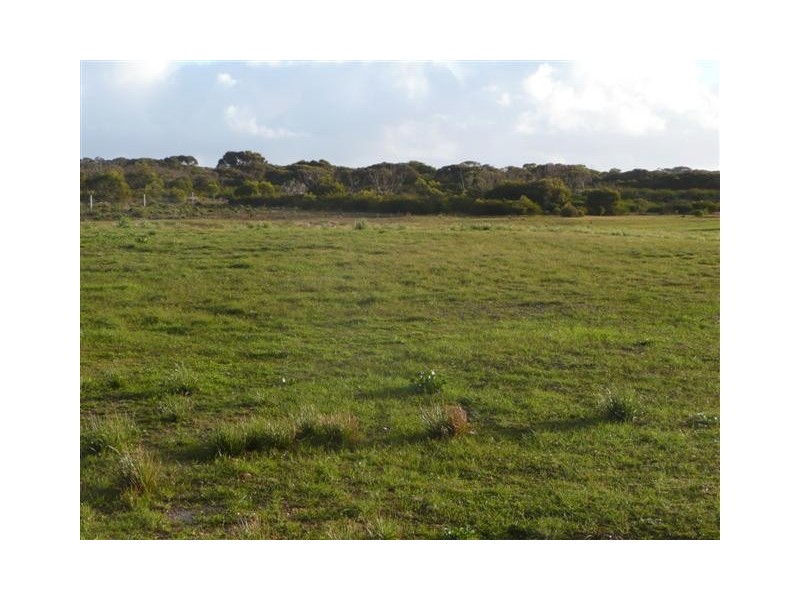 Section 175 Taylors Road, Wangary SA 5607