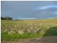 Section 175 Taylors Road, Wangary SA 5607