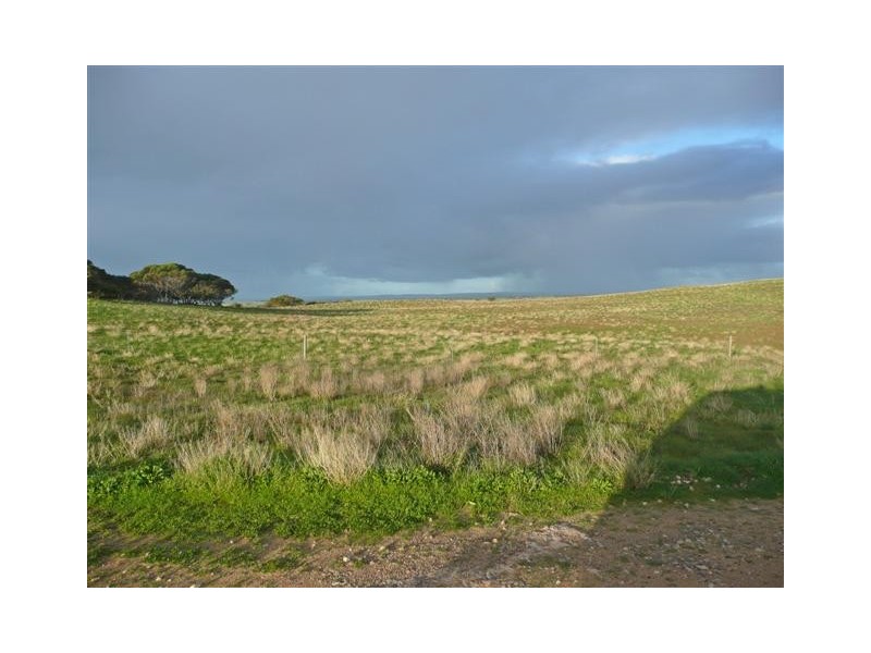 Section 175 Taylors Road, Wangary SA 5607