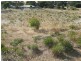 Lot 188 First Street, Wangary SA 5607