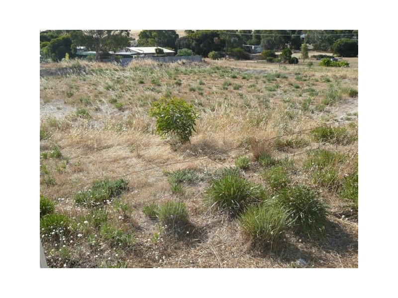 Lot 188 First Street, Wangary SA 5607