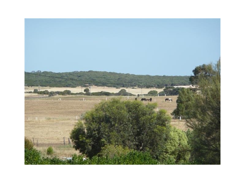 Lot 188 First Street, Wangary SA 5607