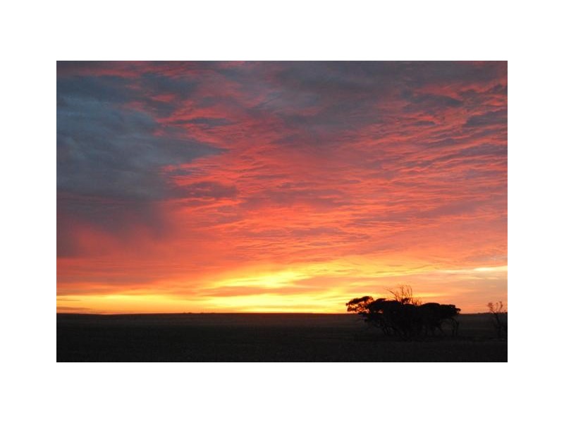 Lot 187 Second Street, Wangary SA 5607