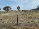 Lot 187 Second Street, Wangary SA 5607