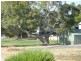 Lot 187 Second Street, Wangary SA 5607