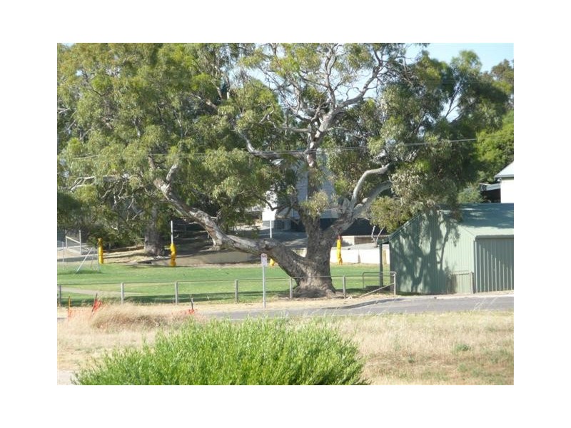 Lot 187 Second Street, Wangary SA 5607