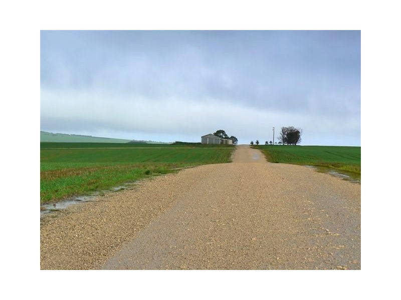 Allotment 890 Hdrd of Cummins and Mortlock, Cummins SA 5631