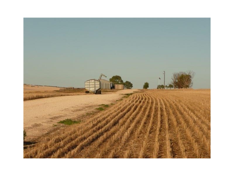 Allotment 890 Hdrd of Cummins and Mortlock, Cummins SA 5631