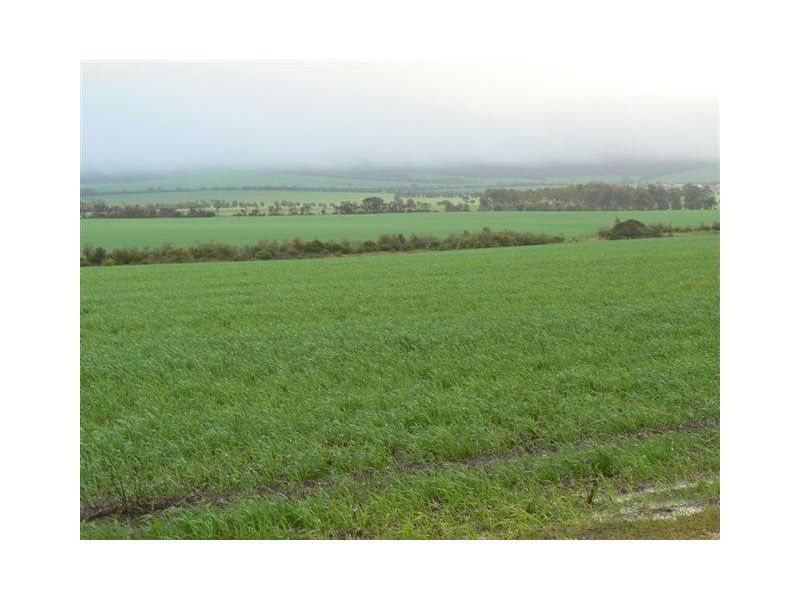 Allotment 890 Hdrd of Cummins and Mortlock, Cummins SA 5631