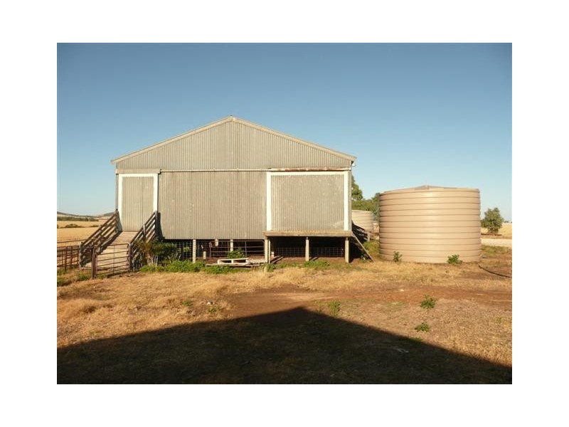 Allotment 890 Hdrd of Cummins and Mortlock, Cummins SA 5631