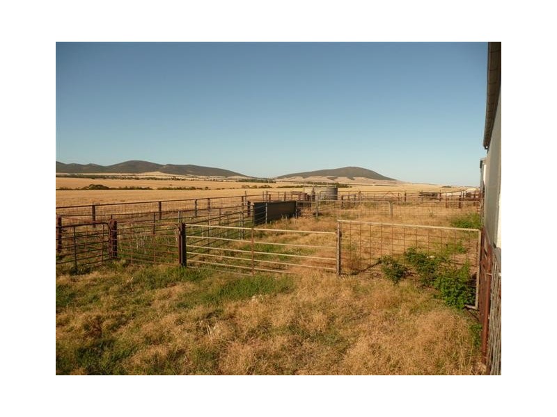 Allotment 890 Hdrd of Cummins and Mortlock, Cummins SA 5631