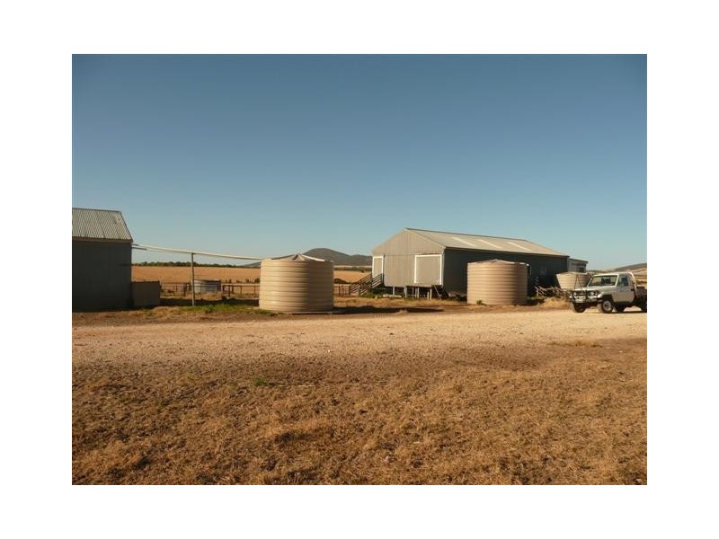 Allotment 890 Hdrd of Cummins and Mortlock, Cummins SA 5631