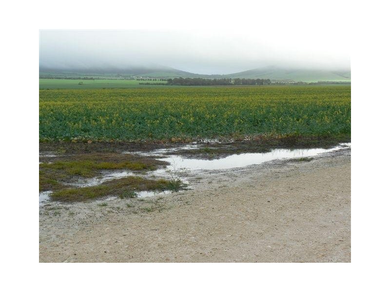 Allotment 890 Hdrd of Cummins and Mortlock, Cummins SA 5631