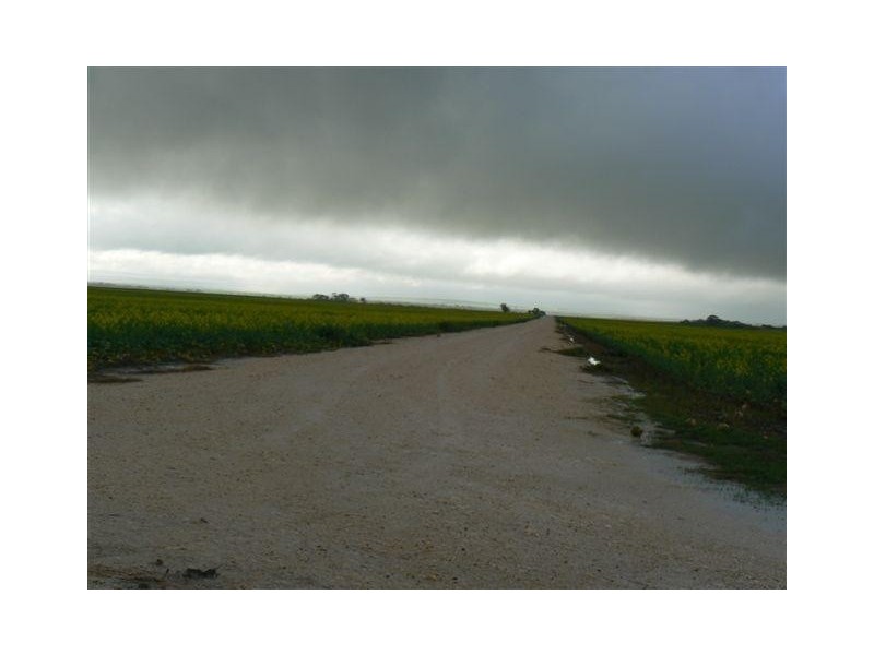 Allotment 890 Hdrd of Cummins and Mortlock, Cummins SA 5631