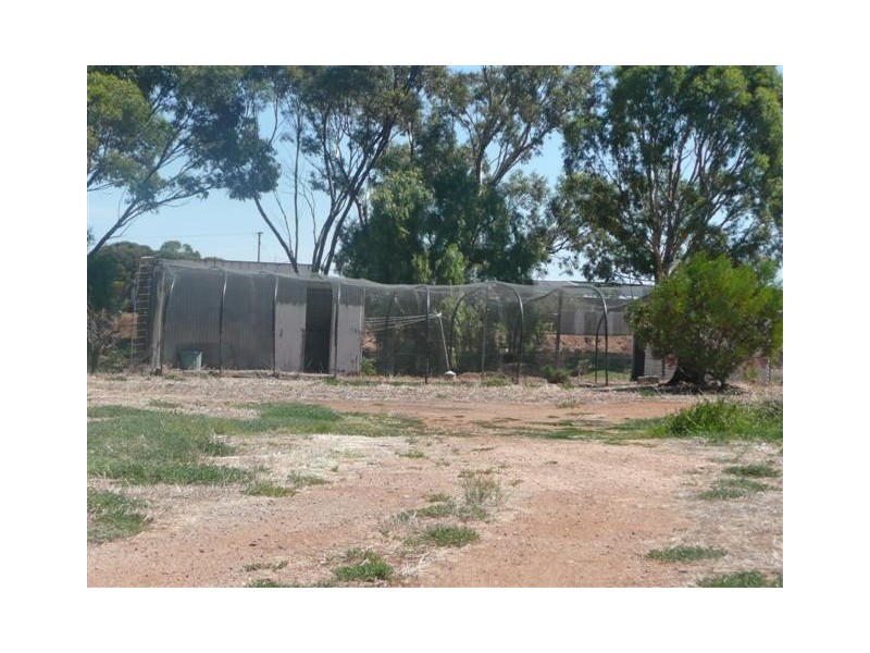 Lot 13 and 358 Main Street, Lipson SA 5607