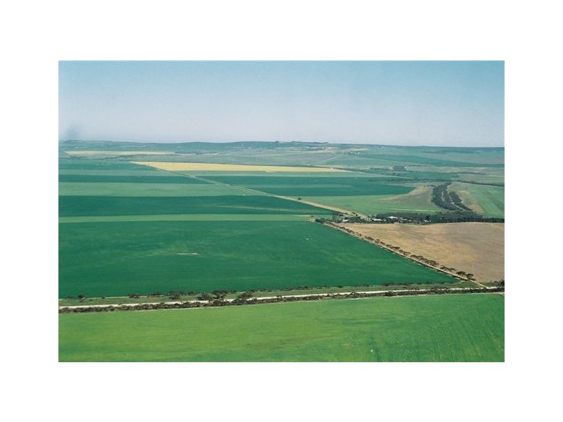 . Wharminda Road, Hundred of Butler, Wharminda SA 5603