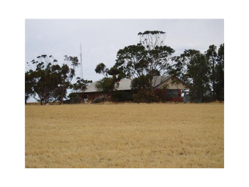 . Wharminda Road, Hundred of Butler, Wharminda SA 5603