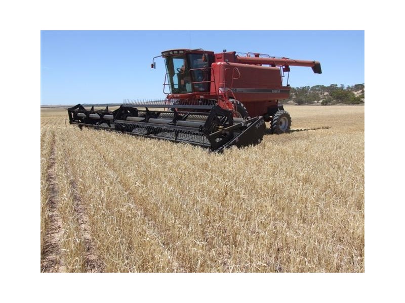 . Wharminda Road, Hundred of Butler, Wharminda SA 5603