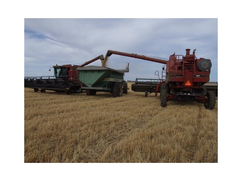 . Wharminda Road, Hundred of Butler, Wharminda SA 5603