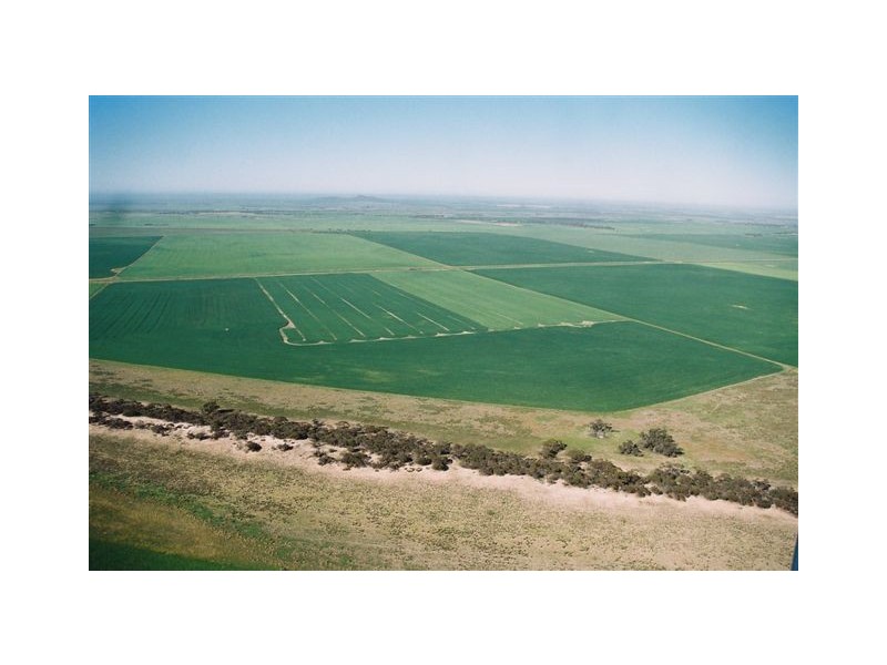 . Wharminda Road, Hundred of Butler, Wharminda SA 5603