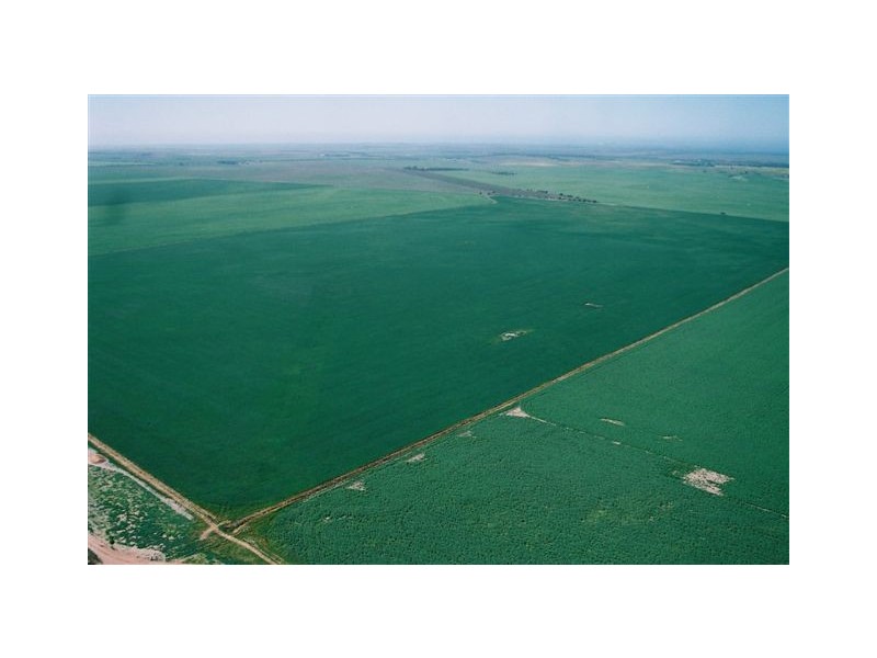 . Wharminda Road, Hundred of Butler, Wharminda SA 5603