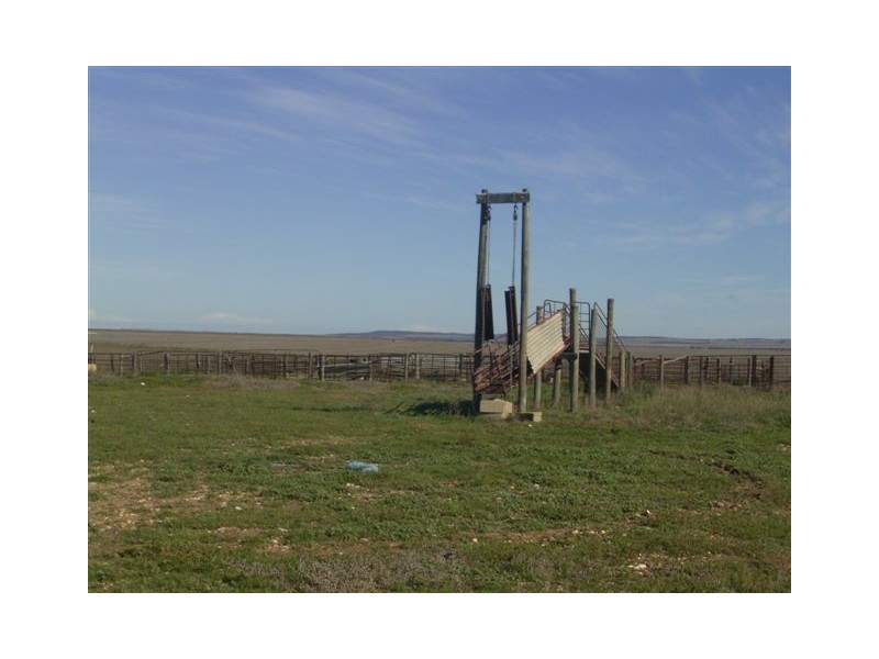 Allotment 1 Hundred of Verran, Wharminda SA 5603