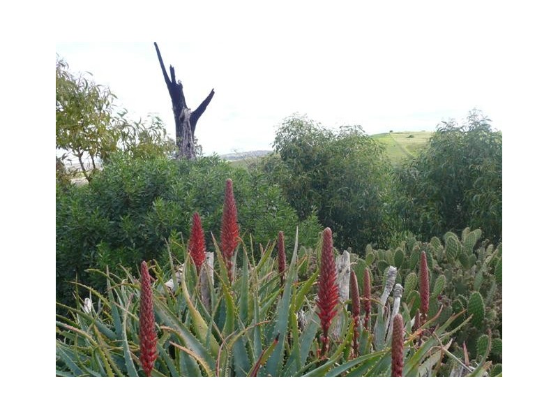 Lot 861 Gawler Ponds Road, Port Lincoln SA 5606