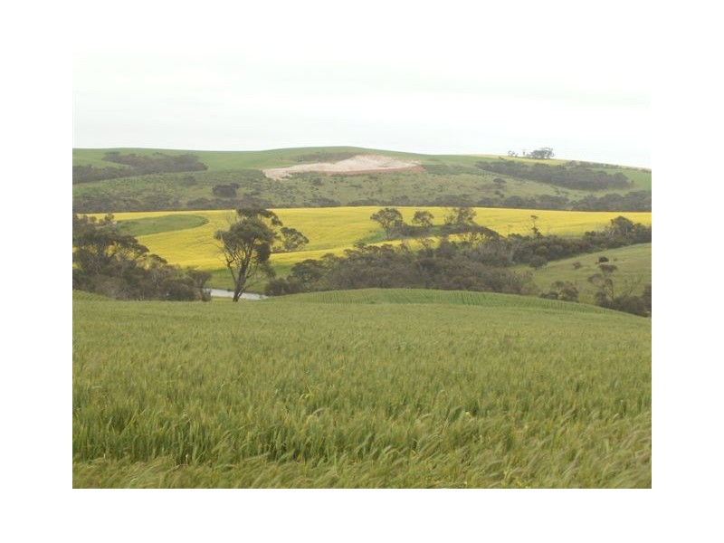 Section 22 Hundred of Stokes, Cummins SA 5631