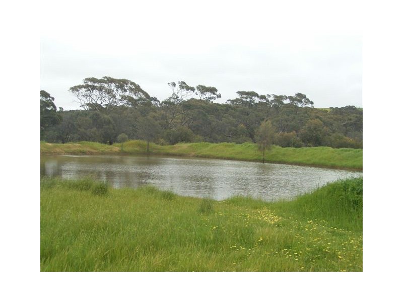 Section 22 Hundred of Stokes, Cummins SA 5631