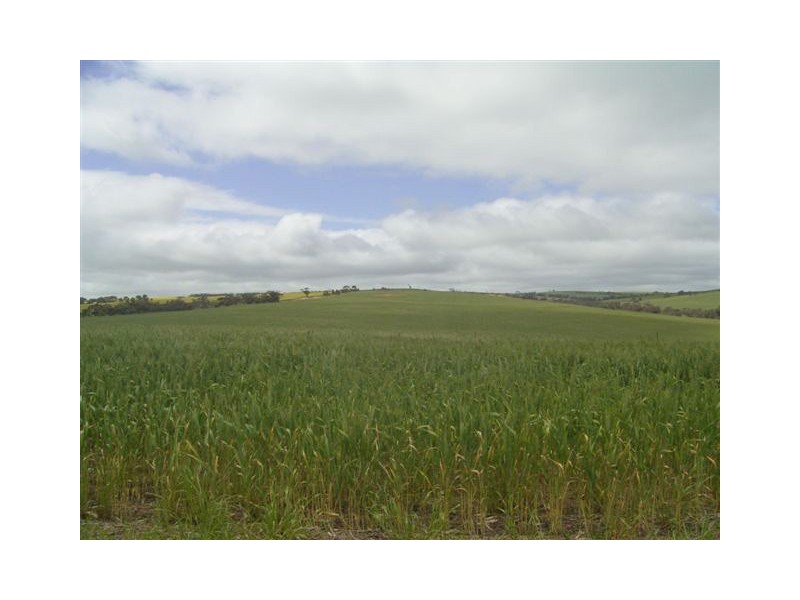 Section 22 Hundred of Stokes, Cummins SA 5631