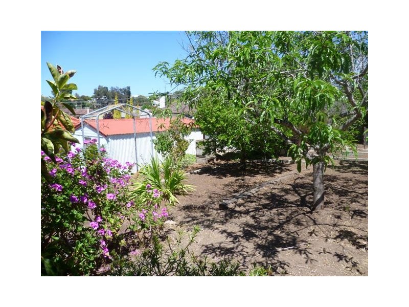 6 Kemp Avenue, Port Lincoln SA 5606