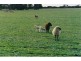 Lot 2 Tod Highway Pearlah via, Port Lincoln SA 5606