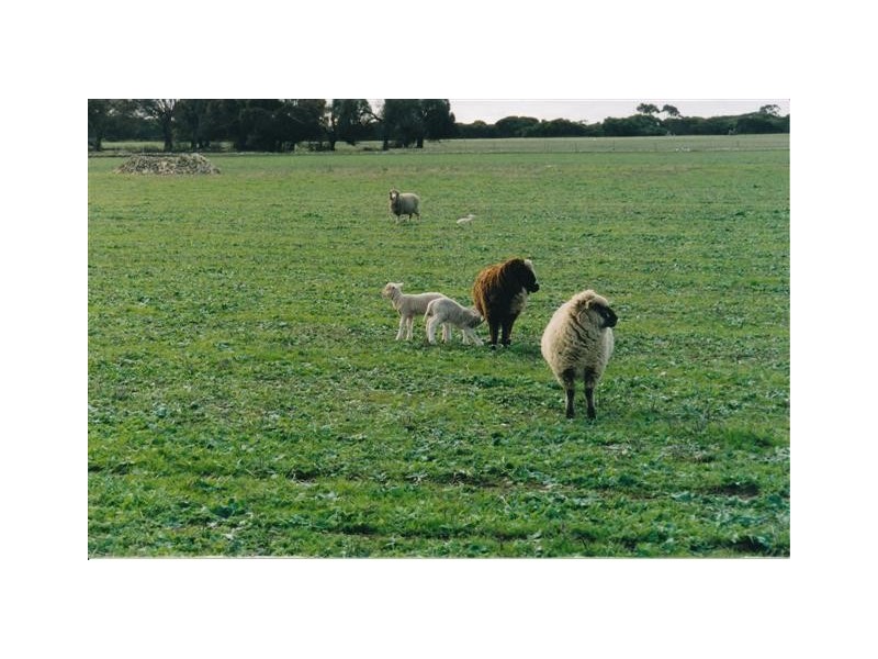 Lot 2 Tod Highway Pearlah via, Port Lincoln SA 5606